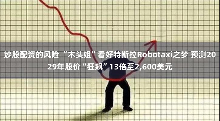 炒股配资的风险 “木头姐”看好特斯拉Robotaxi之梦 预测2029年股价“狂飙”13倍至2,600美元