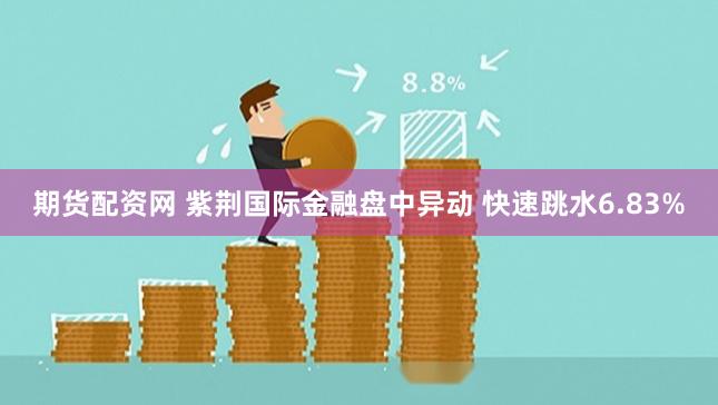 期货配资网 紫荆国际金融盘中异动 快速跳水6.83%