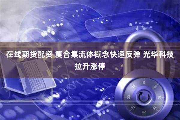 在线期货配资 复合集流体概念快速反弹 光华科技拉升涨停