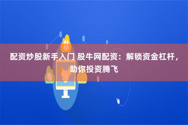 配资炒股新手入门 股牛网配资：解锁资金杠杆，助你投资腾飞