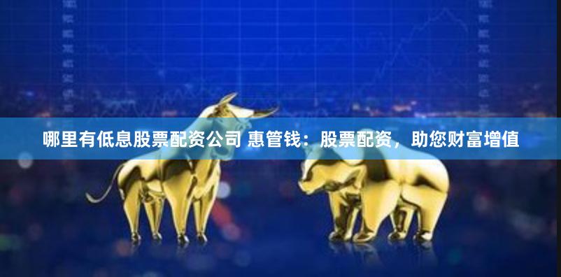哪里有低息股票配资公司 惠管钱：股票配资，助您财富增值