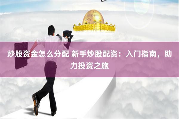 炒股资金怎么分配 新手炒股配资：入门指南，助力投资之旅